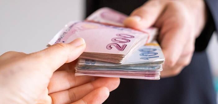 Borc Ekonomikultur