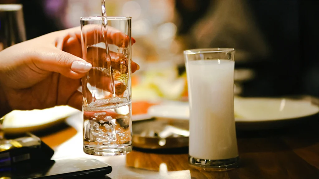 Rakı Fiyatları (2)