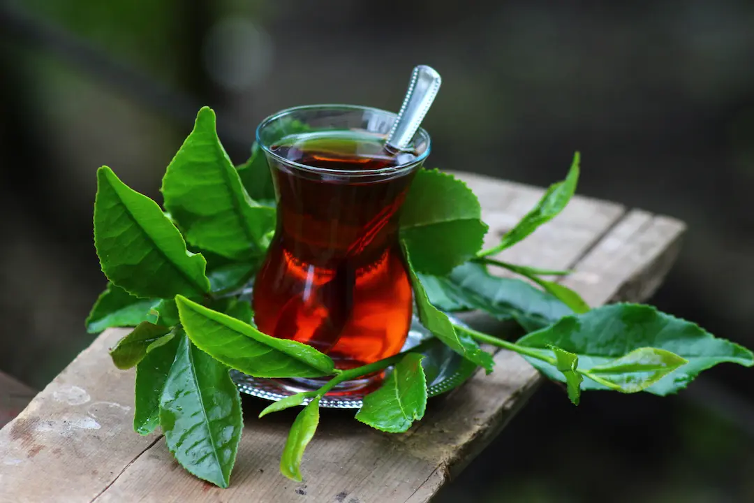 Çay 3136 Cay Icmek Omru Uzatiyor Image1