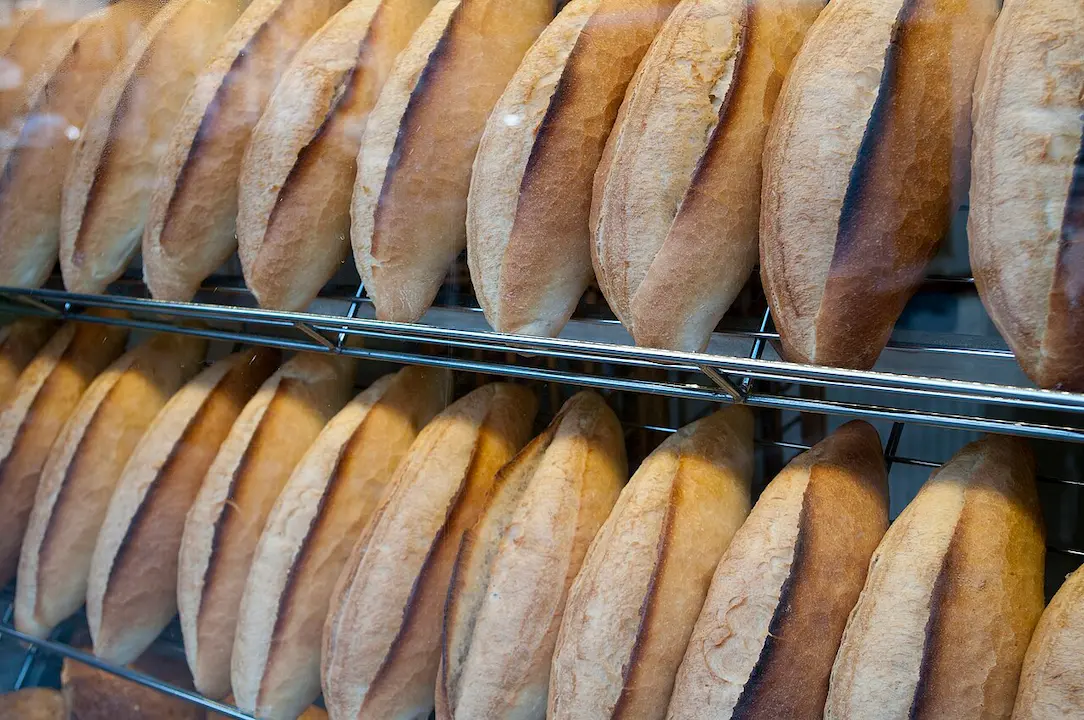 Ekmek Fiyatı Bread Ekmek