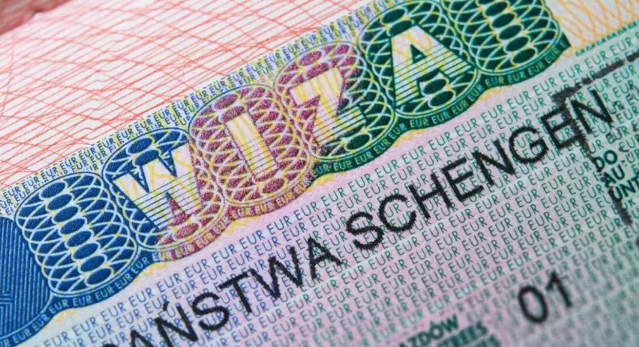 Polonya Vizesi 2
