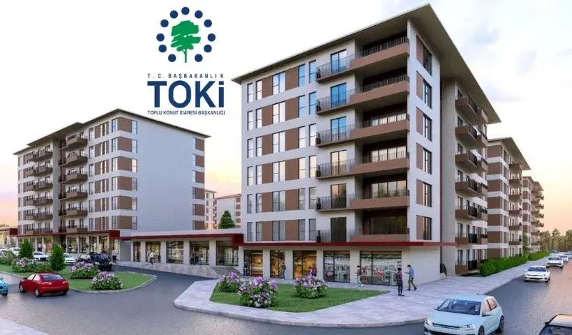 Toki-8