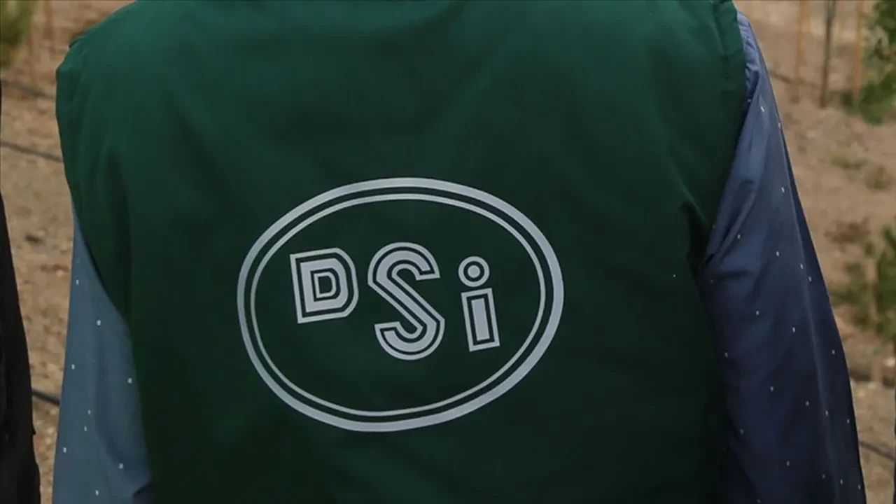 Dsi Isci Alimi Kura Sonuclari 2