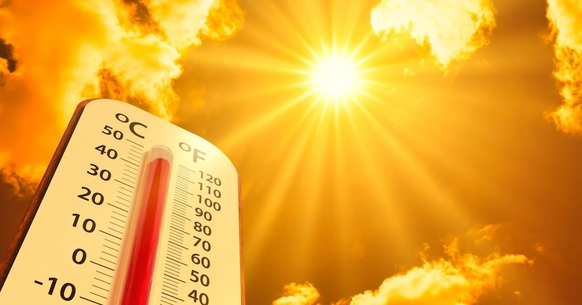 El Nino Sıcakları