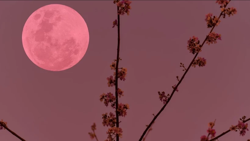 Pembe Ay Kopya