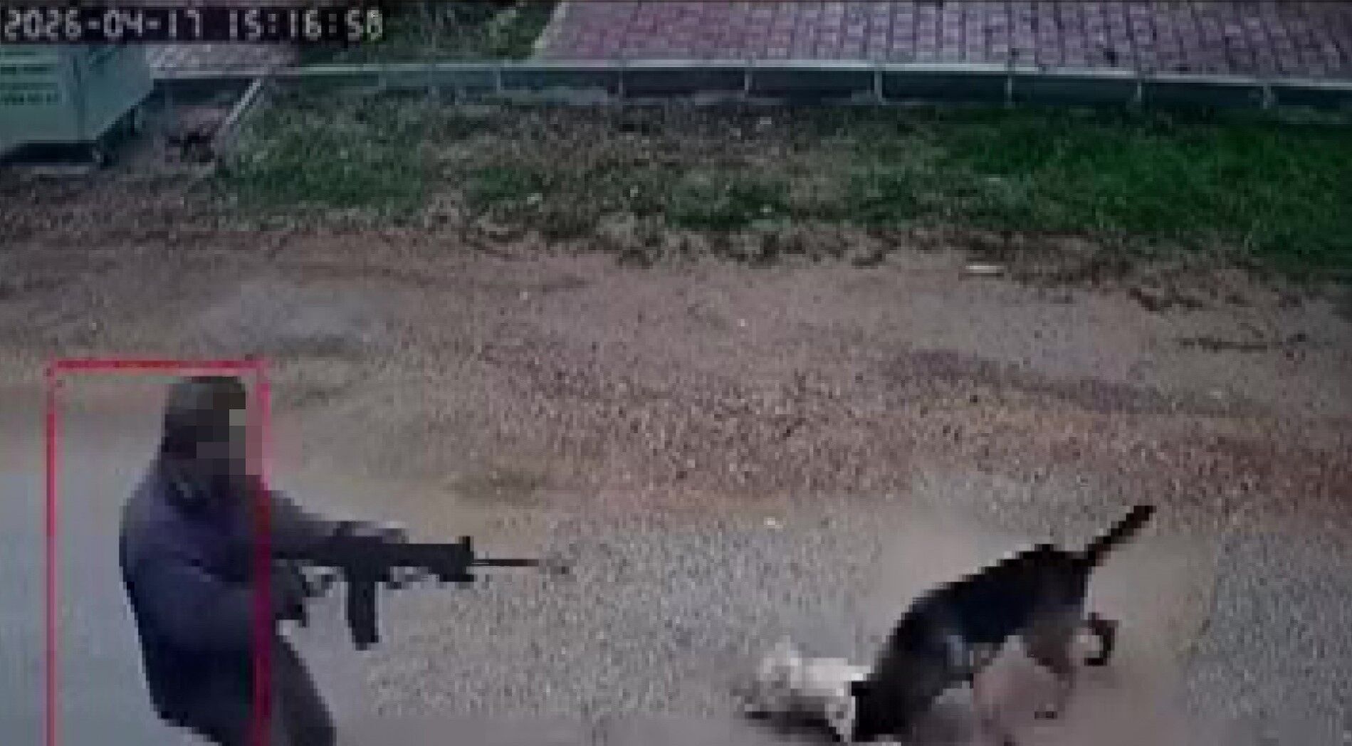 Antalyada Köpeğe Saldırı-1
