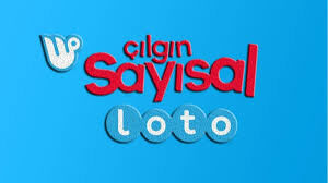 Çılgın Sayısal-1