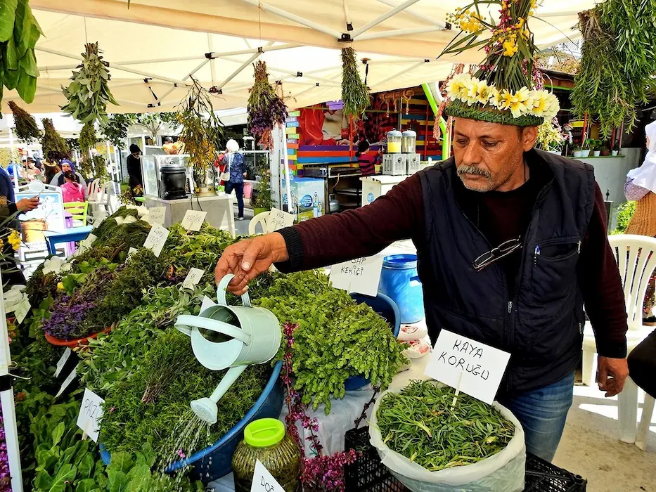 Pandemi Nedeniyle 2 Yildir Gerce