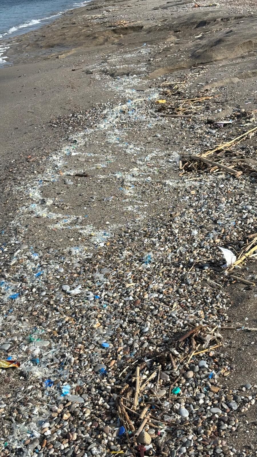 Alanya Sahillerinde 31 Ekim'e Kadar! Sakın Bunu Yapmayın (1)