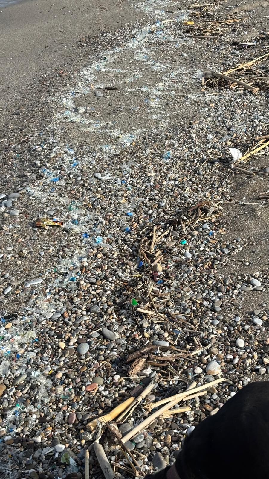 Alanya Sahillerinde 31 Ekim'e Kadar! Sakın Bunu Yapmayın (4)