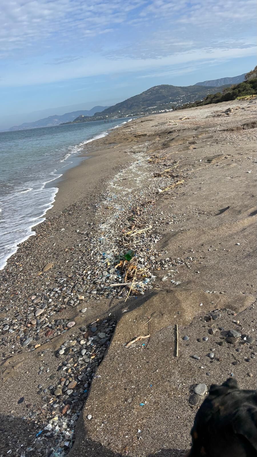Alanya Sahillerinde 31 Ekim'e Kadar! Sakın Bunu Yapmayın (5)