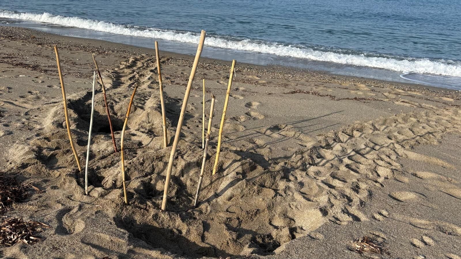 Alanya Sahillerinde Oralara Sakın Yaklaşmayın (3)