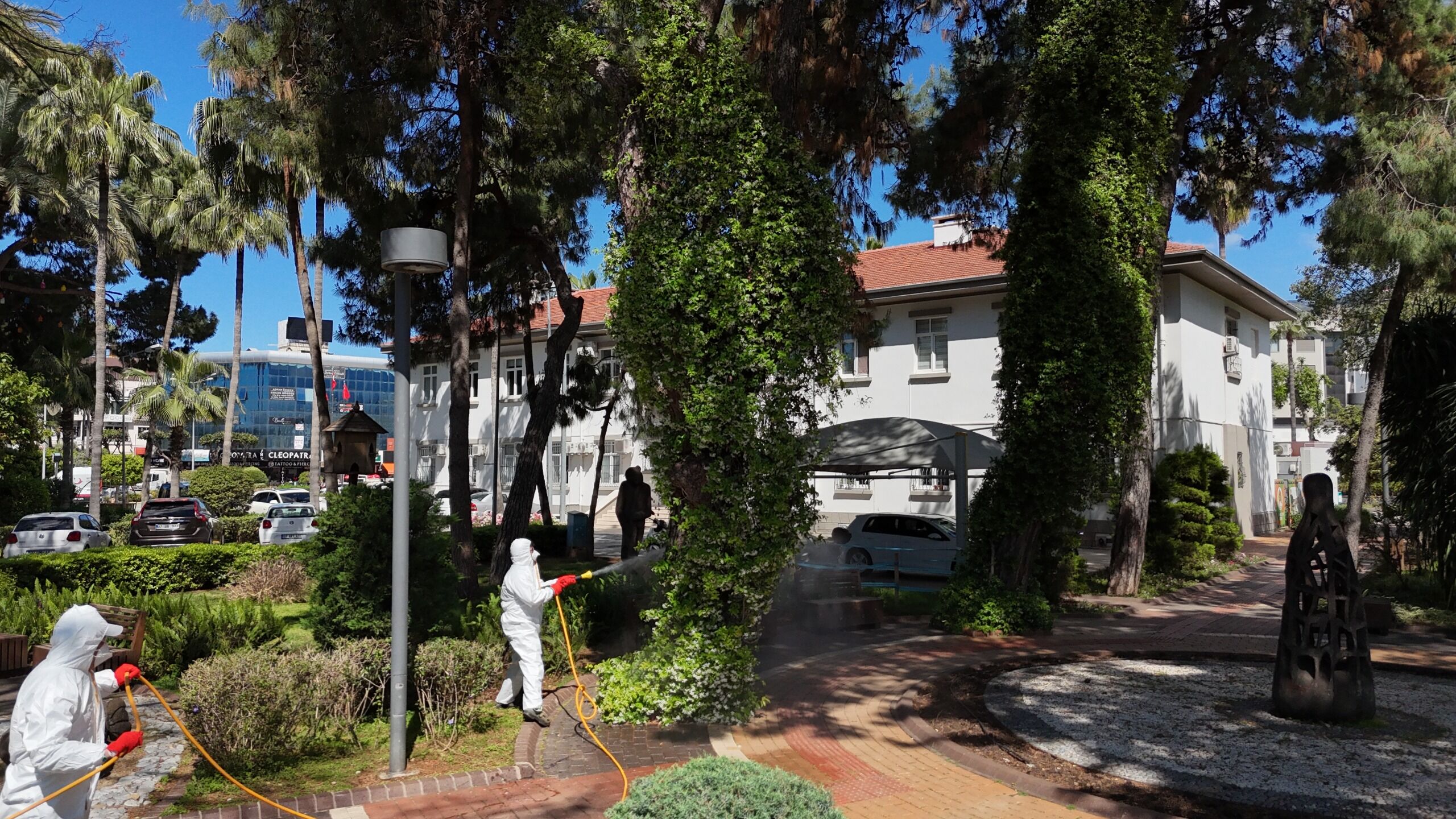 Alanya’da Böcek Alarmı (3)