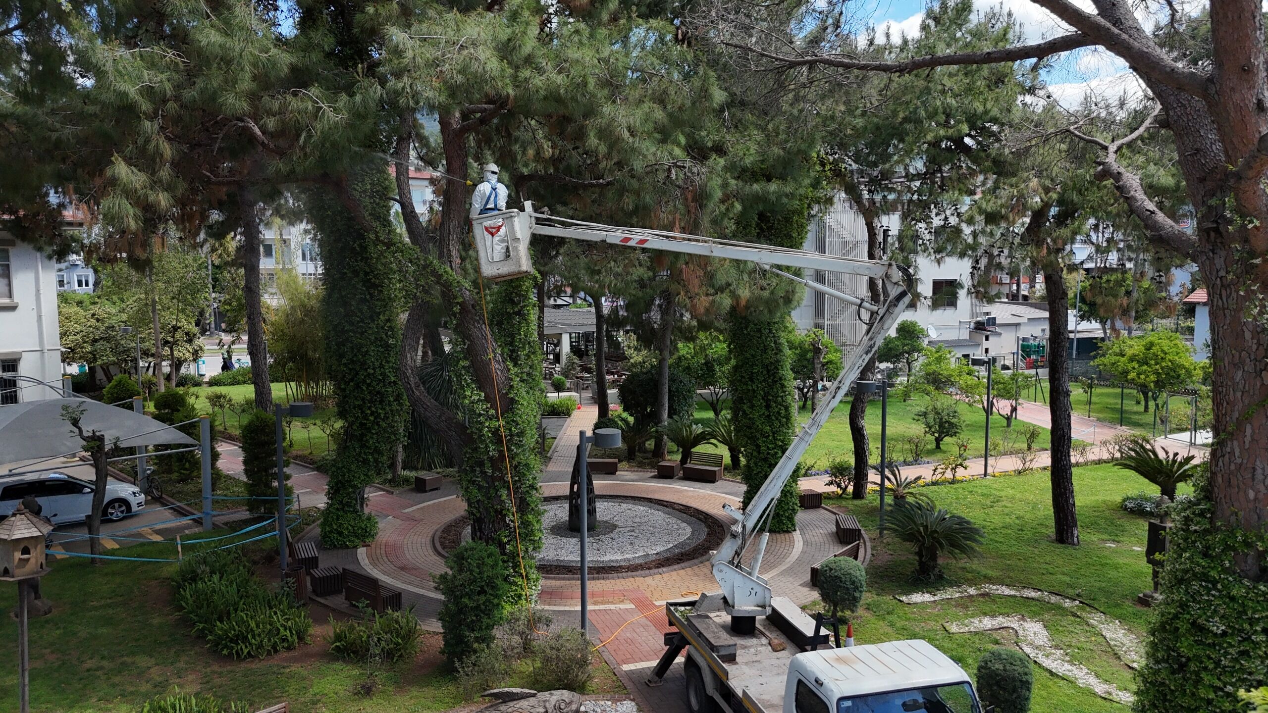 Alanya’da Böcek Alarmı (5)