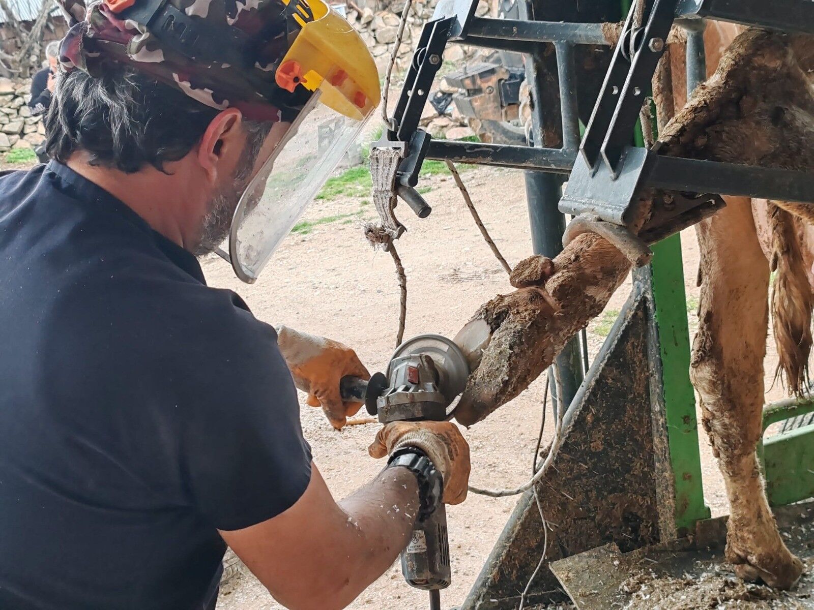 Antalya Kırsalına Büyükşehirden Destek (4)