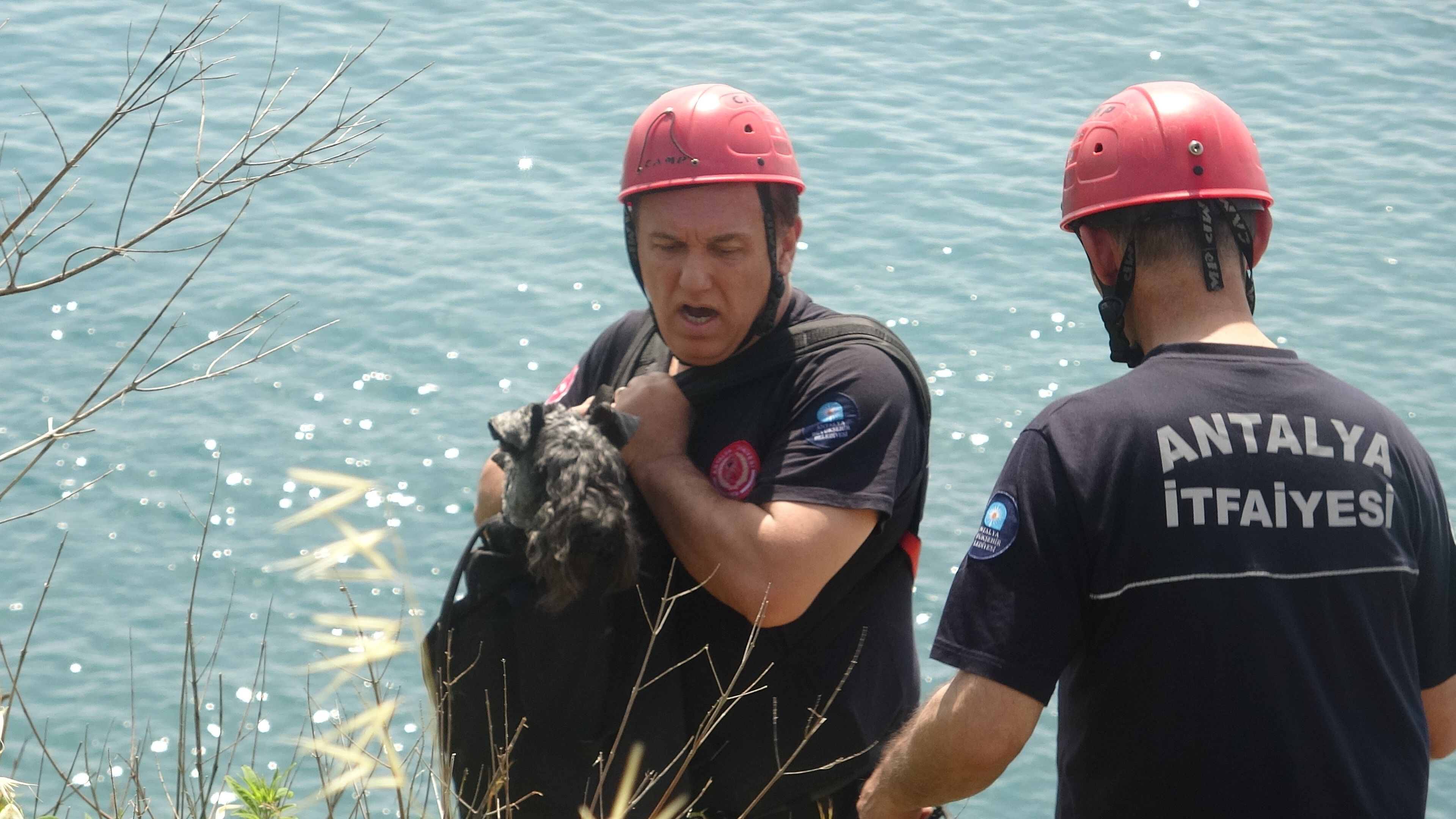 Antalya'da Falezlere Düşen Köpek Nika Gözyaşlarıyla Kurtarıldı (1)