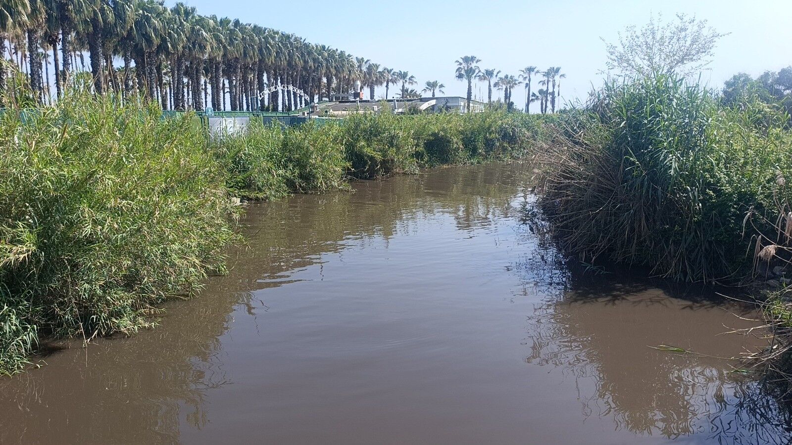 Antalya'da Turistler Sahili Terk Etti! (2)