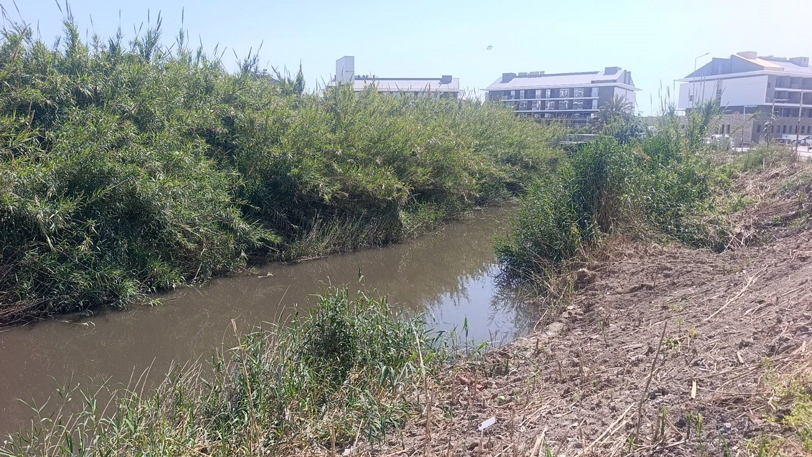 Antalya'da Turistler Sahili Terk Etti! (4)
