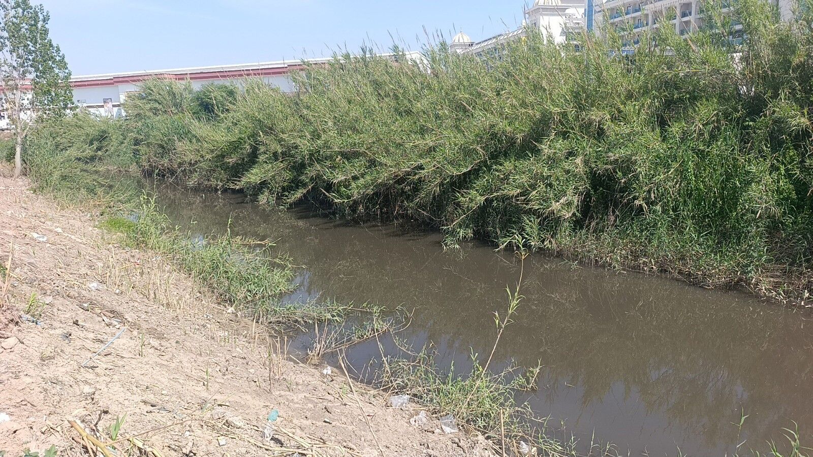 Antalya'da Turistler Sahili Terk Etti! (6)