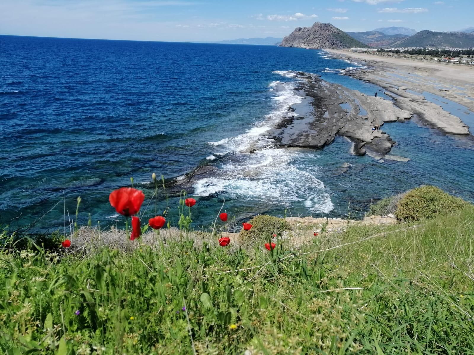 Gazipaşa Koru Sahili (2)