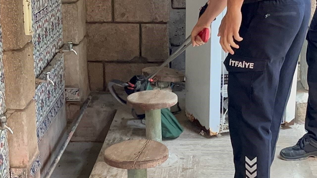 Antalya'da Camide Görülen Yılan Panik Yarattı (1)