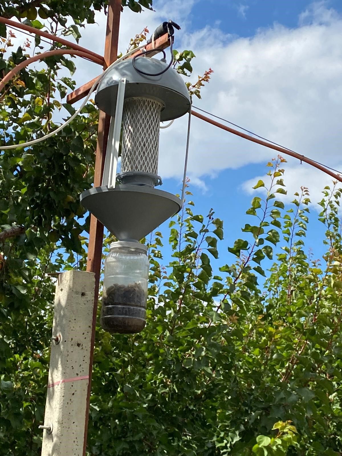 Antalya’da Çiftçinin Kaderini Değiştirecek Buluş! Elektrik Gerekmeyecek (4)