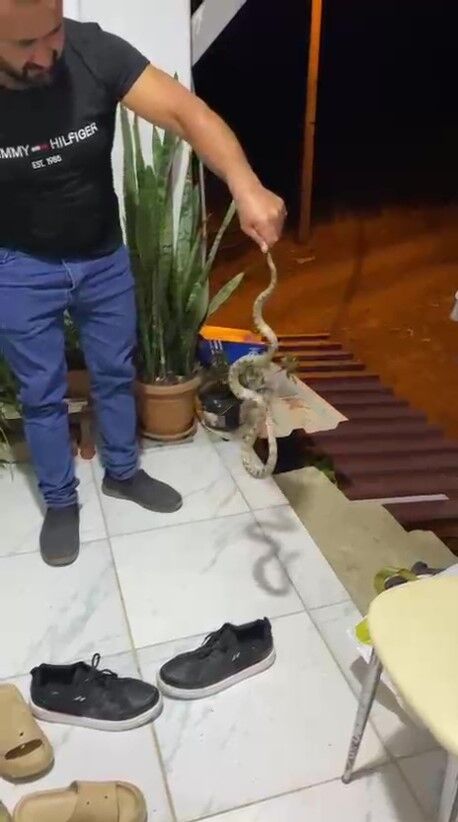 Antalya'da Kapıda Yılan Paniği! Eve Girmeden Yakalandı (1)