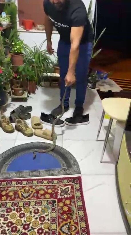 Antalya'da Kapıda Yılan Paniği! Eve Girmeden Yakalandı (2)