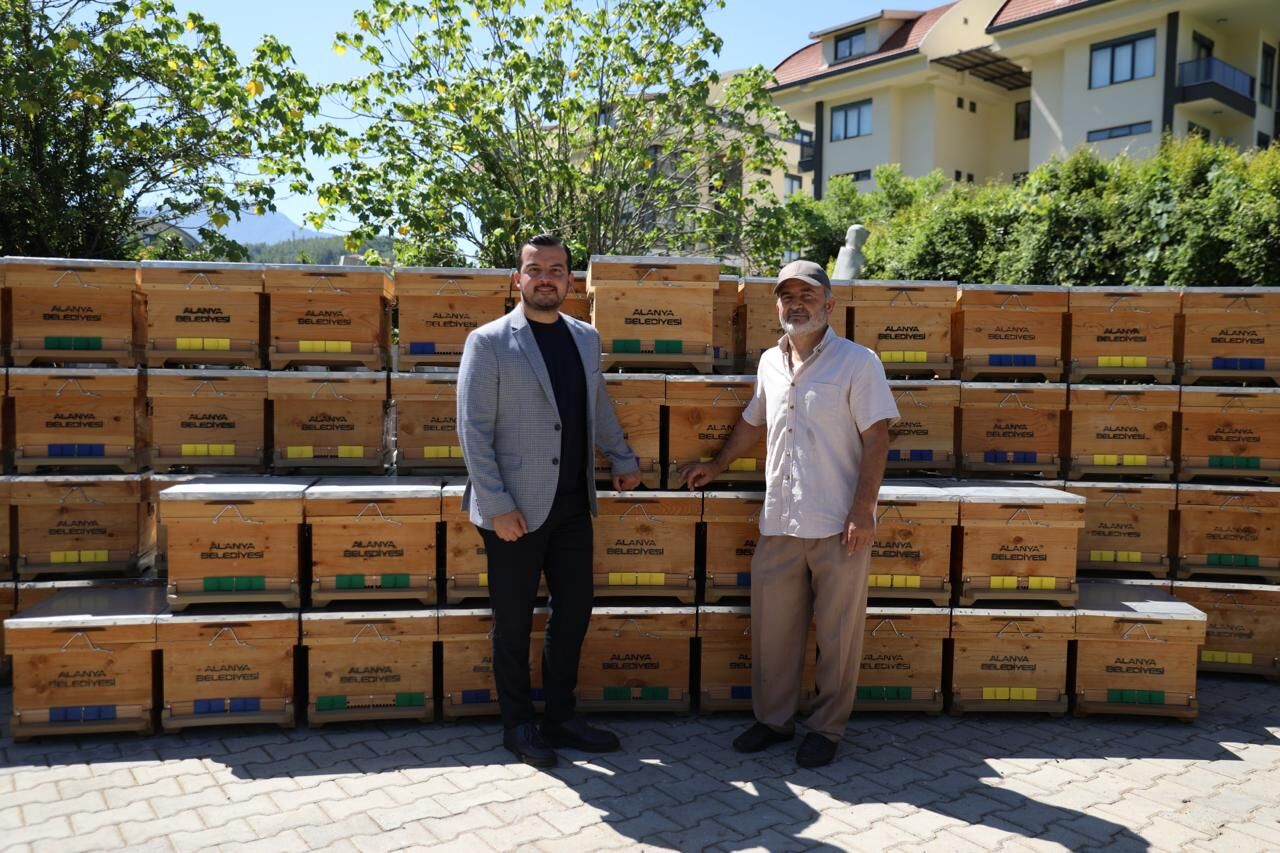 Arı Kovanı Desteği (2)