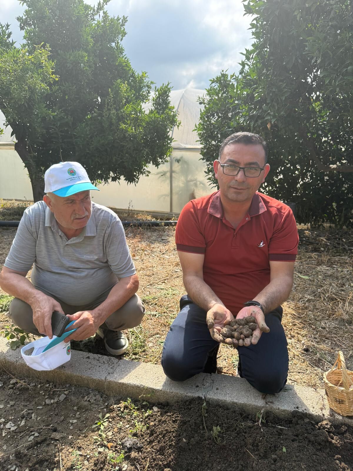 Salep Üretimden Sonuç Olumlu (2)
