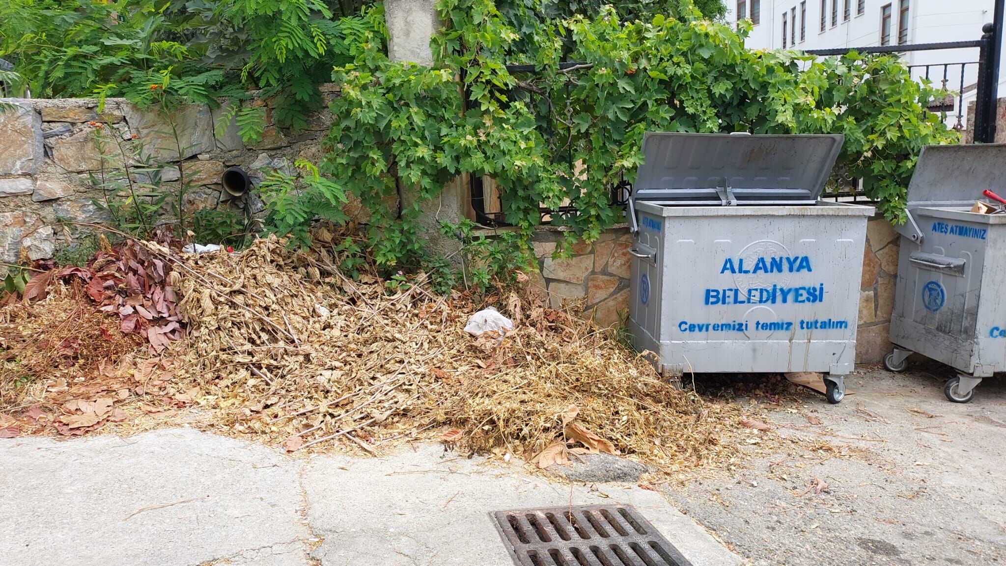 Alanya'da Evini Boşaltan Sokağa Atıyor! Yetki Çıkmazı Işleri Zorlaştırıyor (4)