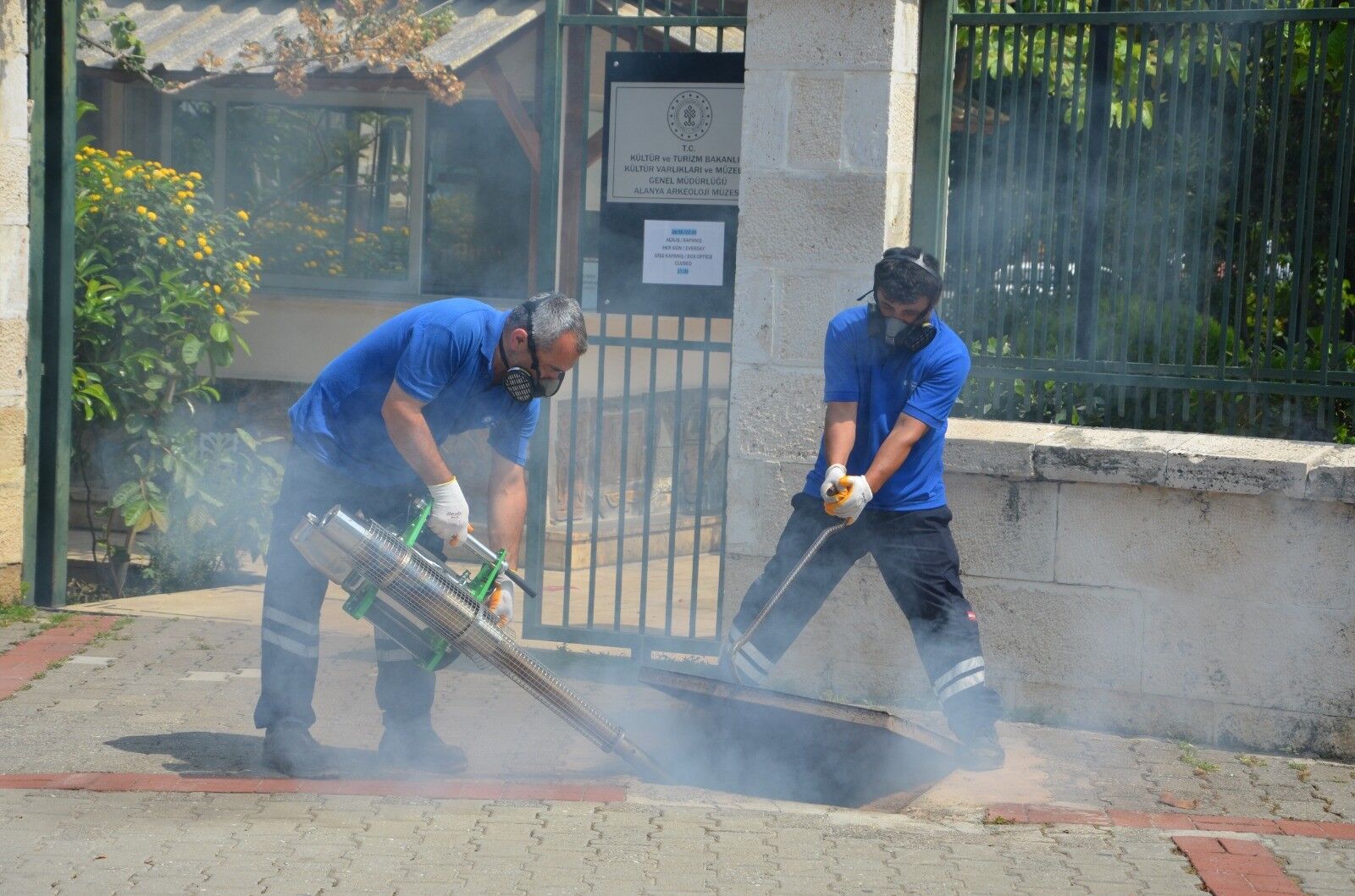 Alanya'nın Sivrisinek Mücadelede Balık Formülü (2)