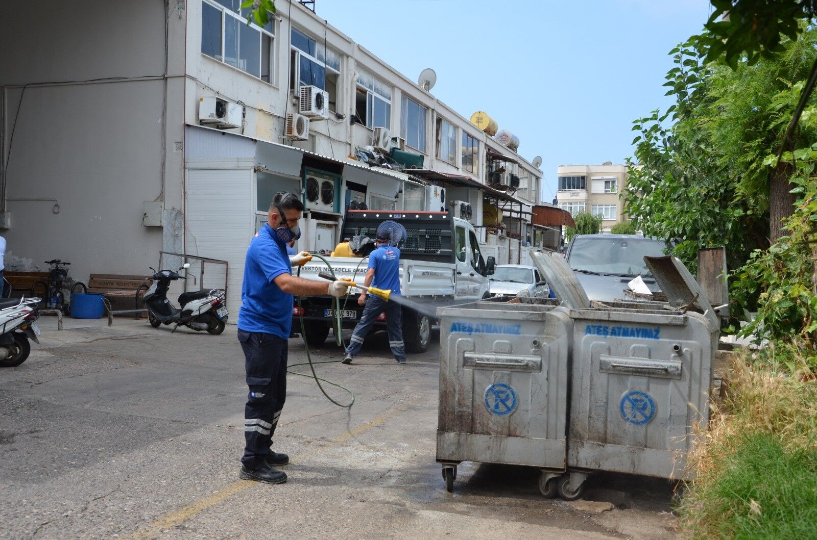 Alanya'nın Sivrisinek Mücadelede Balık Formülü (5)