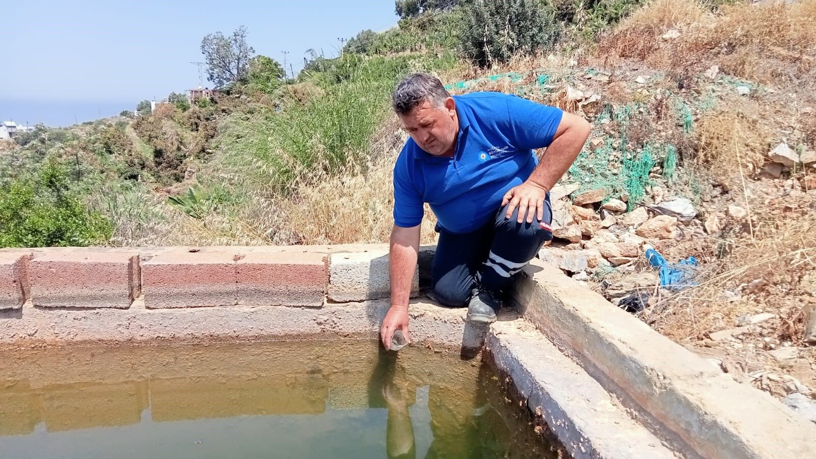 Alanya'nın Sivrisinek Mücadelede Balık Formülü (6)