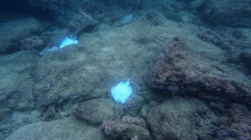 Antalya Denizinde Görenler Şok Oldu! Neler Oluyor (5)