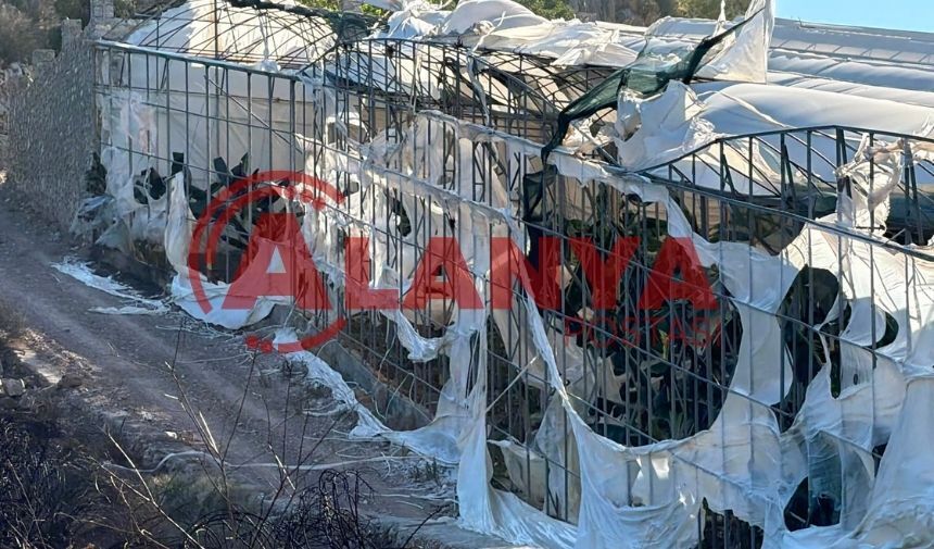 Antalya'da O Plaj Ücretsiz Halk Plajı Oluyor-2