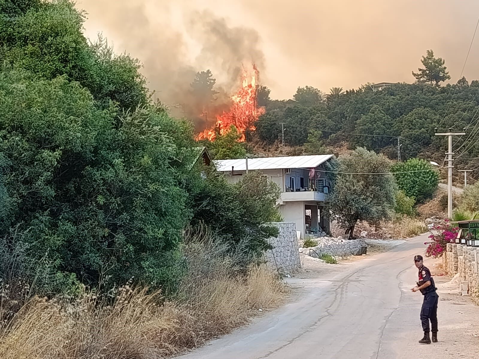 Antalya'da Orman Yangınında Son Durum (5)