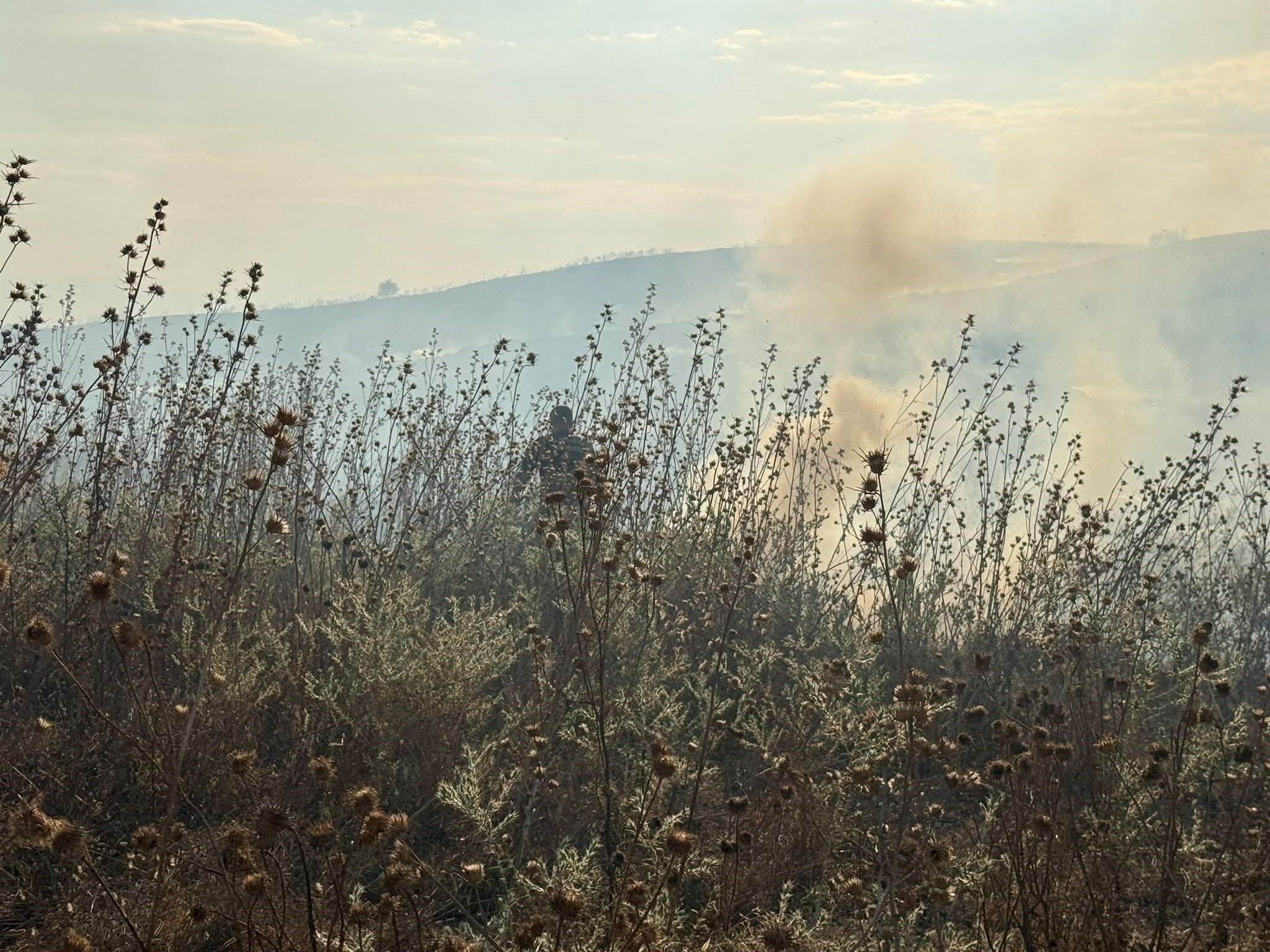 Antalya'da Rüzgar Alevleri Kısa Sürede Büyüttü (4)