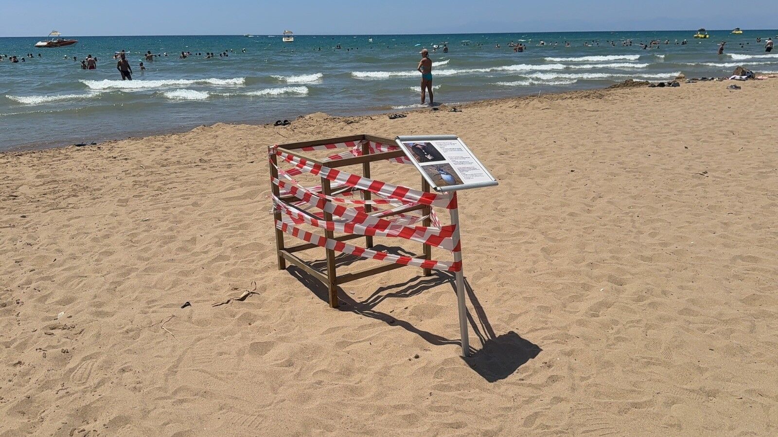 Caretta Carettalardan Ne Istiyorsunuz Antalya'da Kafes Söküldü (3)
