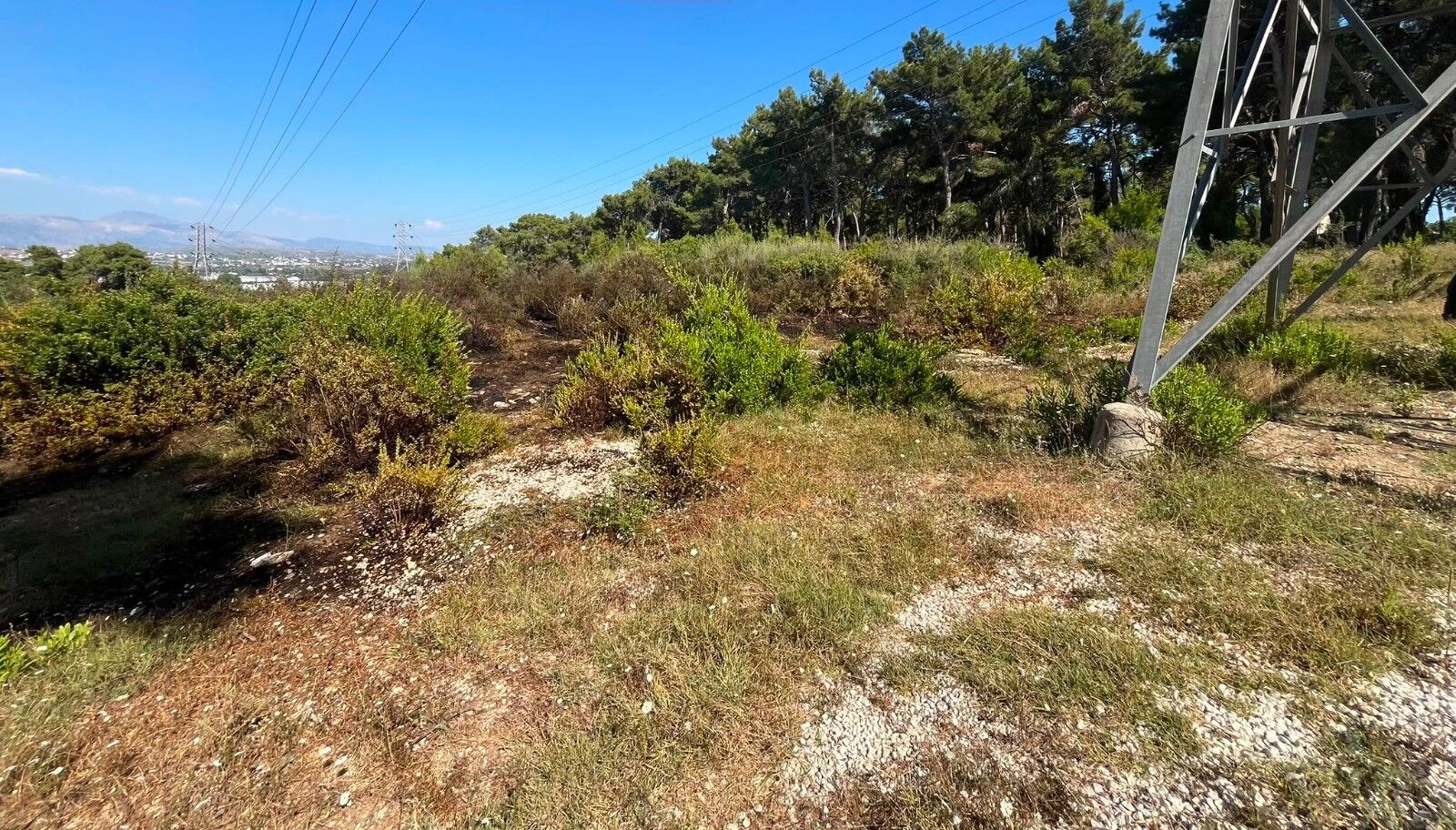 Manavgat'ta Alevler Bir Anda Ormanı Sardı (4)