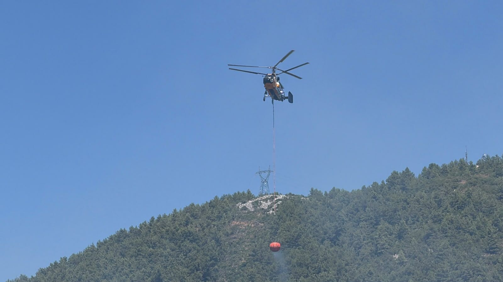 Alanya Orman Yangınında Bilanço Belli Oldu! Cayır Cayır Yandı (2)