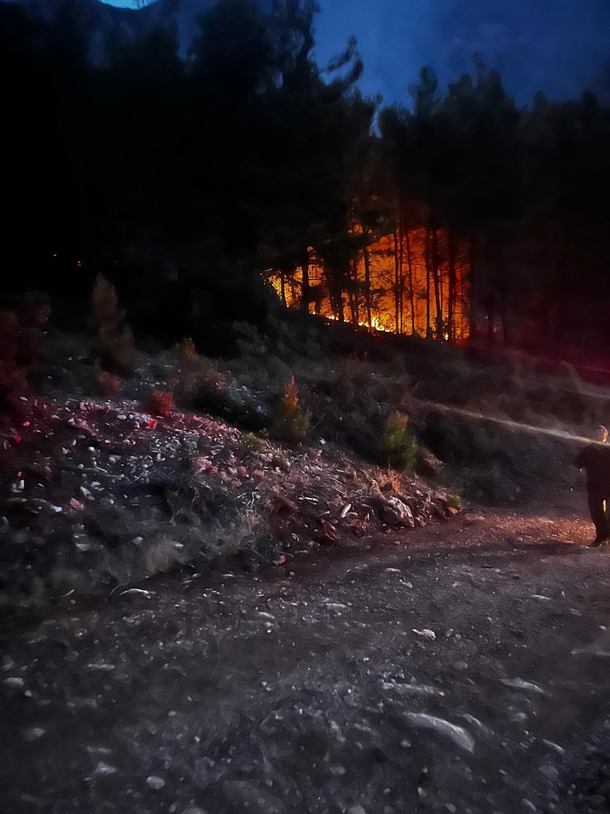 Alanya'da Gece Yarısı Korkutan Yangın! Alevler Son Anda Durduruldu (1)