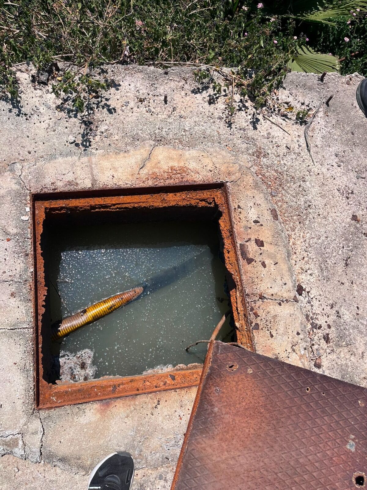 Alanya'da Lüks Villaların Atık Suyu Dereye Akıtıldı! Gözlerinin Yaşına Bakılmayacak (2)