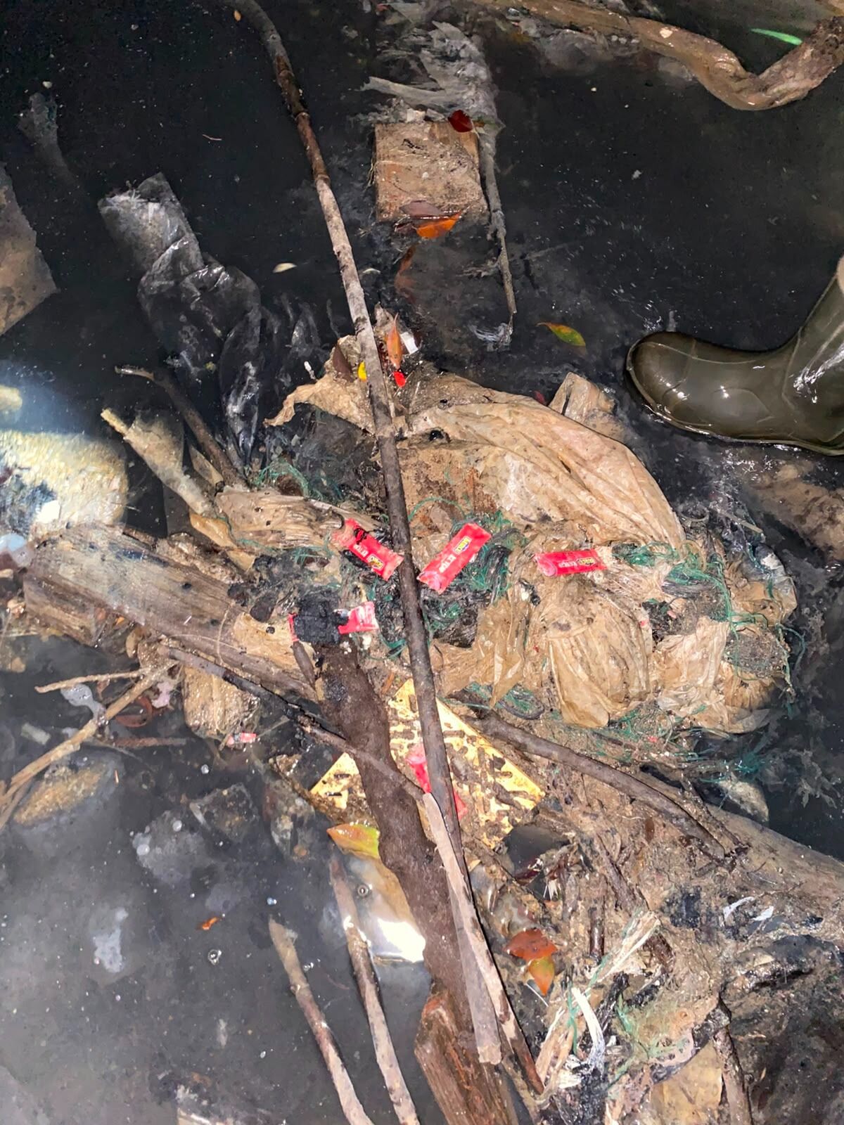 Alanya'da O Otelin Denizi Kirlettiği Ortaya Çıktı (3)