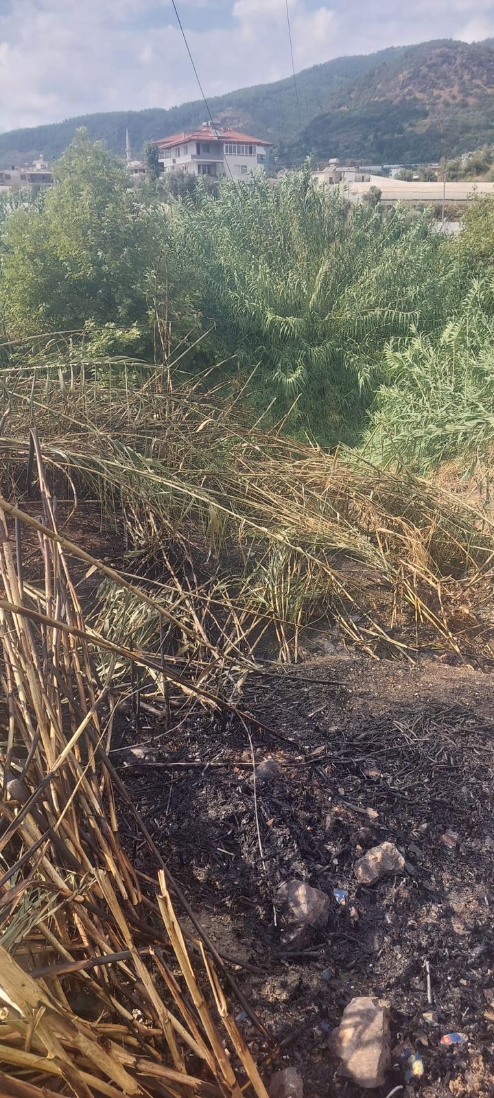 Alevler Evlerin Dibine Geldi! Alanya'da Mahalleli Sokağa Döküldü (3)