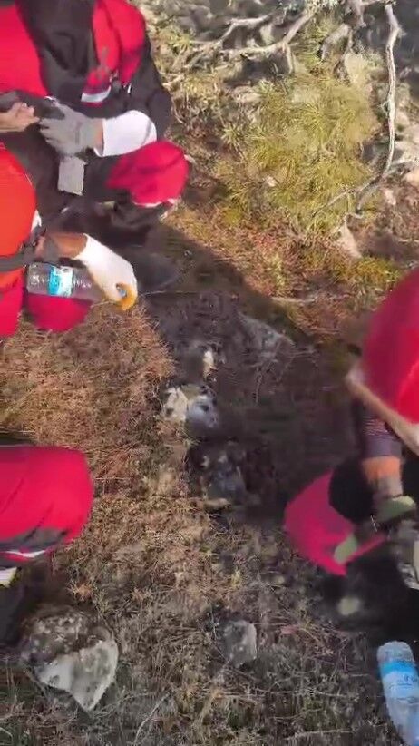 Antalya'da Canlı Canlı Yanmaktan Toprağa Sığınarak Kurtulmaya Çalıştı (4)