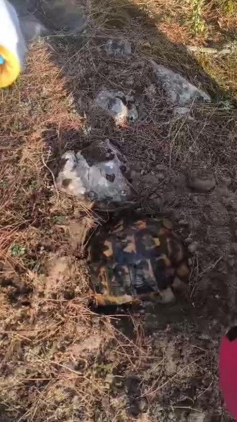 Antalya'da Canlı Canlı Yanmaktan Toprağa Sığınarak Kurtulmaya Çalıştı (5)