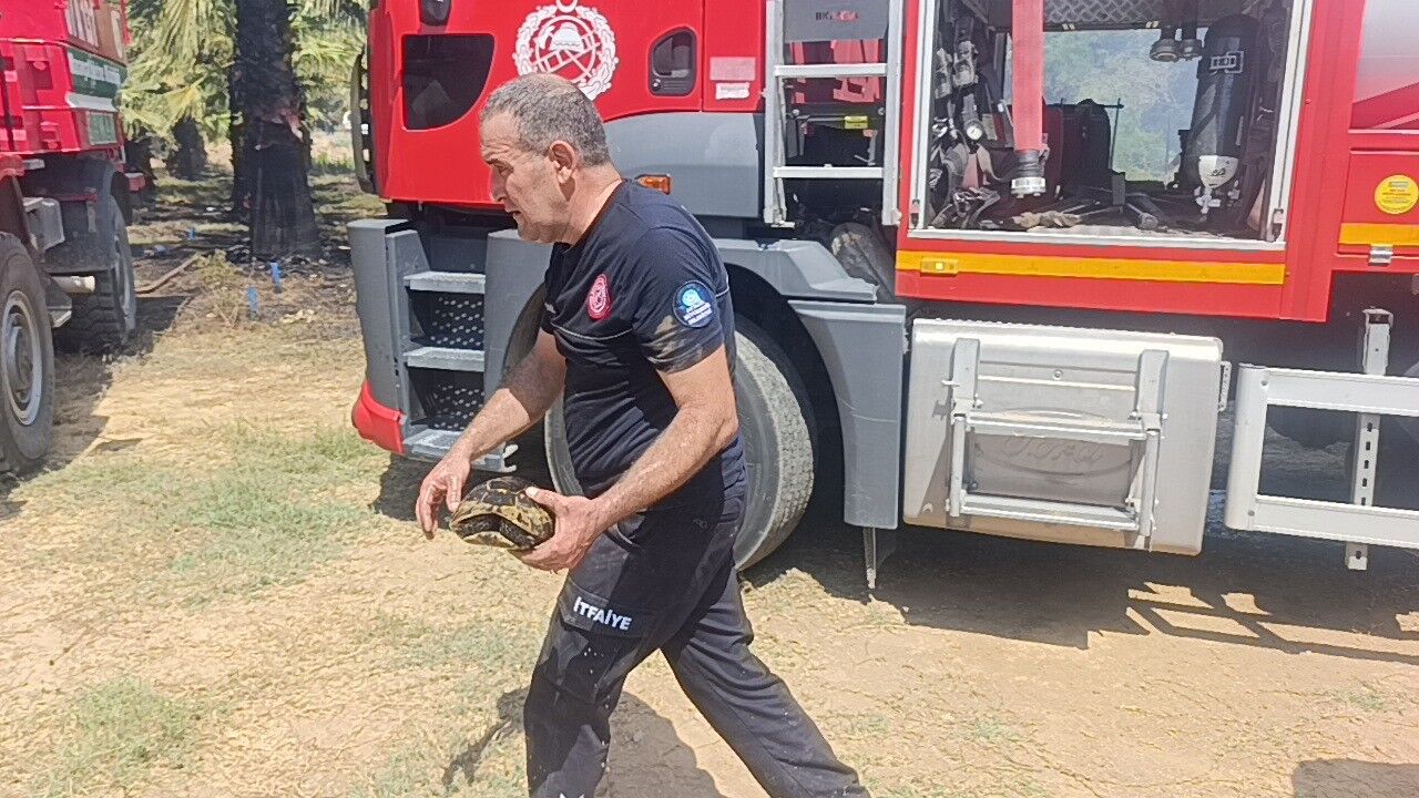 Antalya'da Canlı Canlı Yanmaktan Toprağa Sığınarak Kurtulmaya Çalıştı (8)