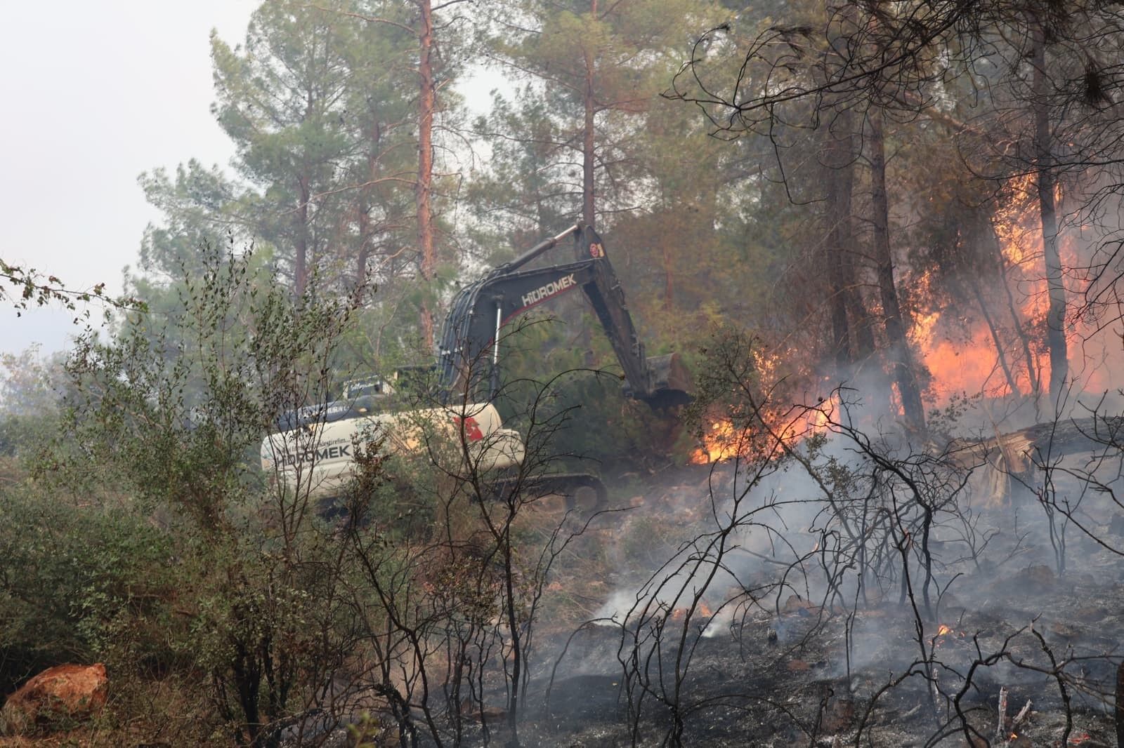 Muğla'da Başladı, Kaş Sınırını Geçti! Yangın Durdurulamıyor (3)