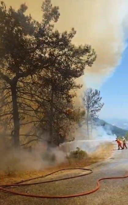 Son Dakika! Alanya'nın Tepe Mahallesi'nde Orman Yangını Çıktı (3)